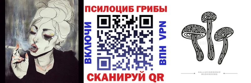 наркотики  Зерноград  Псилоцибиновые грибы мухоморы 