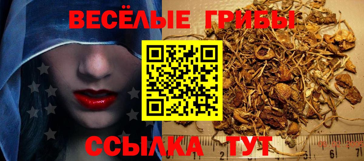 Псилоцибиновые грибы прущие грибы Зерноград